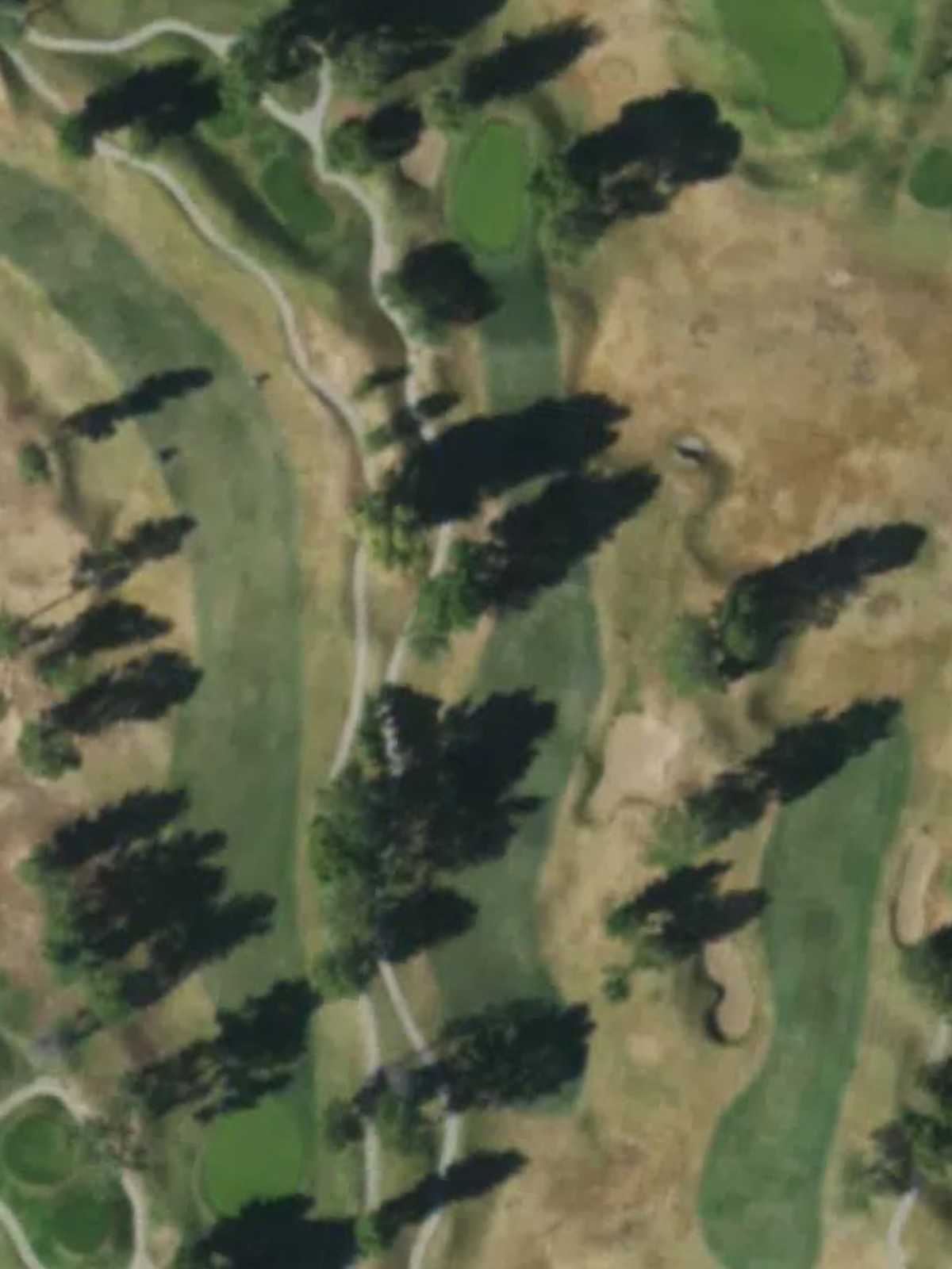 Hole 10 satellite