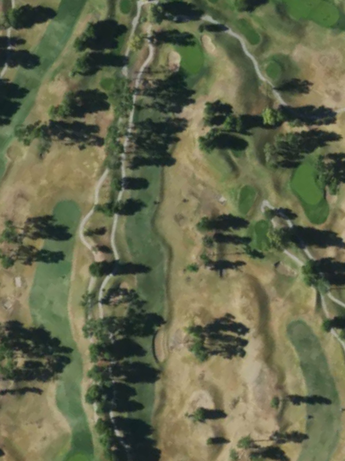 Hole 13 satellite