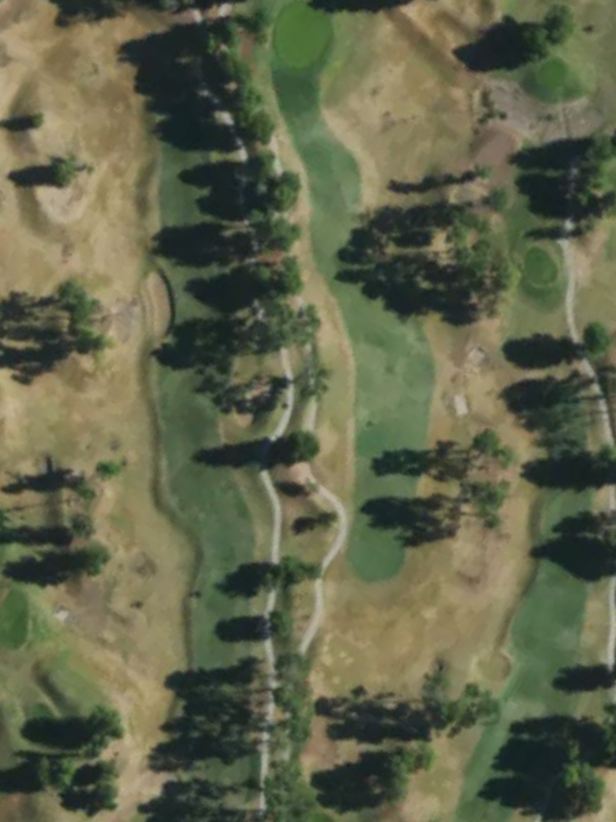 Hole 8 satellite