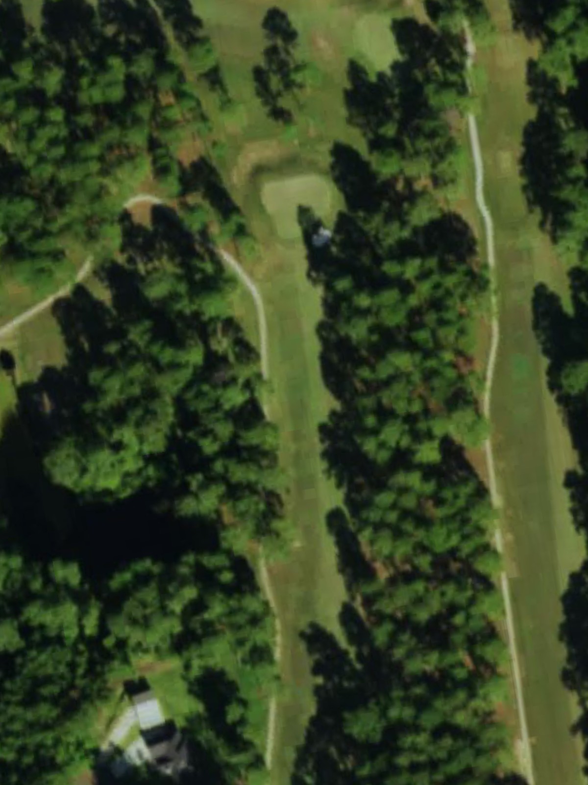 Hole 15 satellite