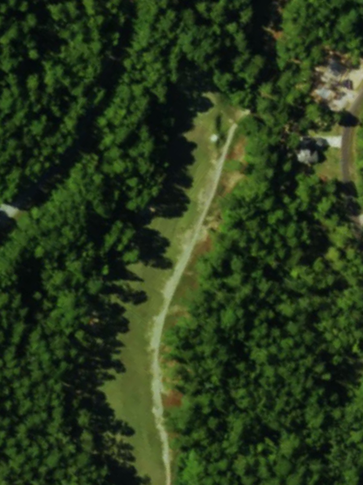 Hole 7 satellite