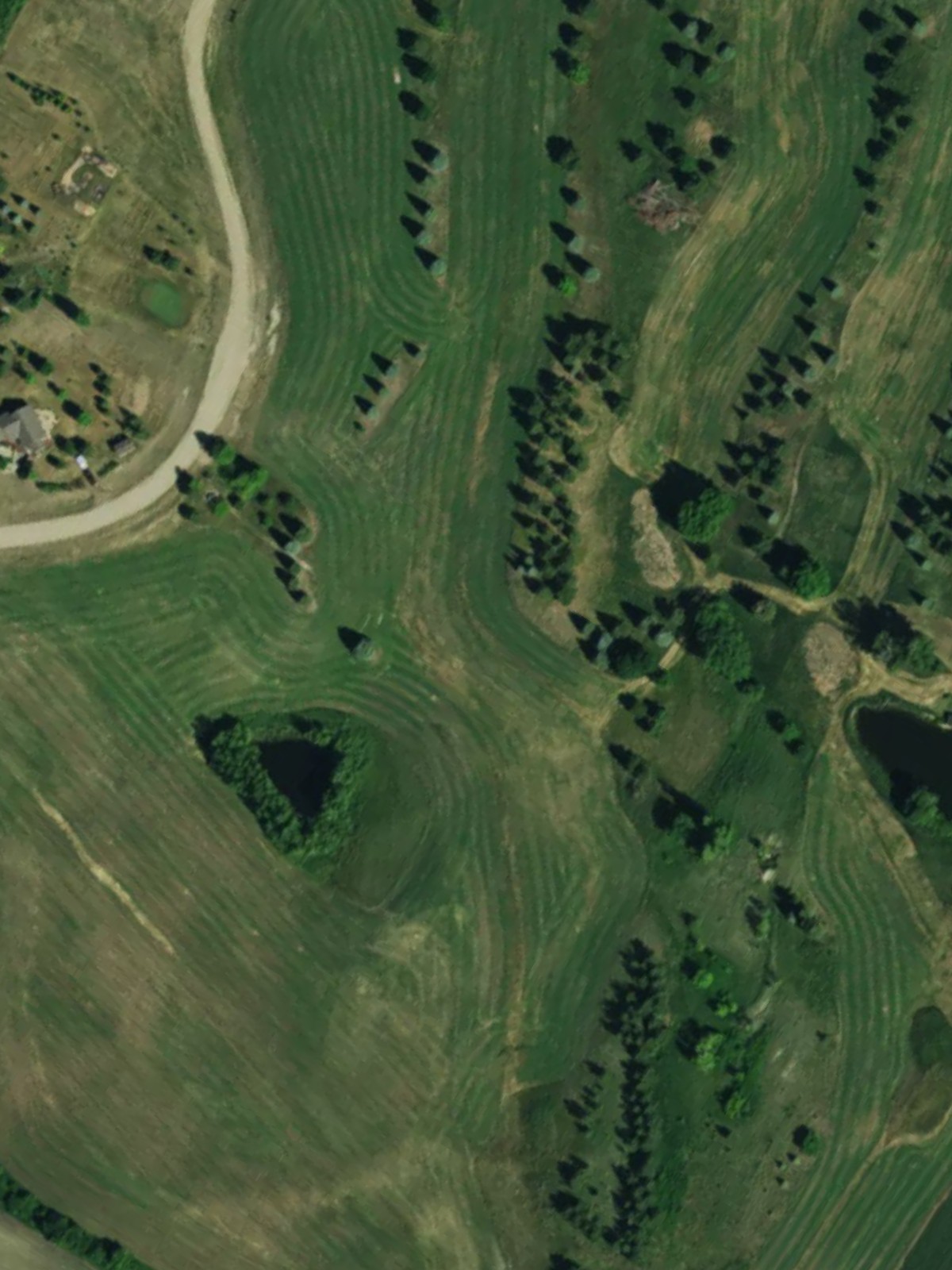 Hole 4 satellite