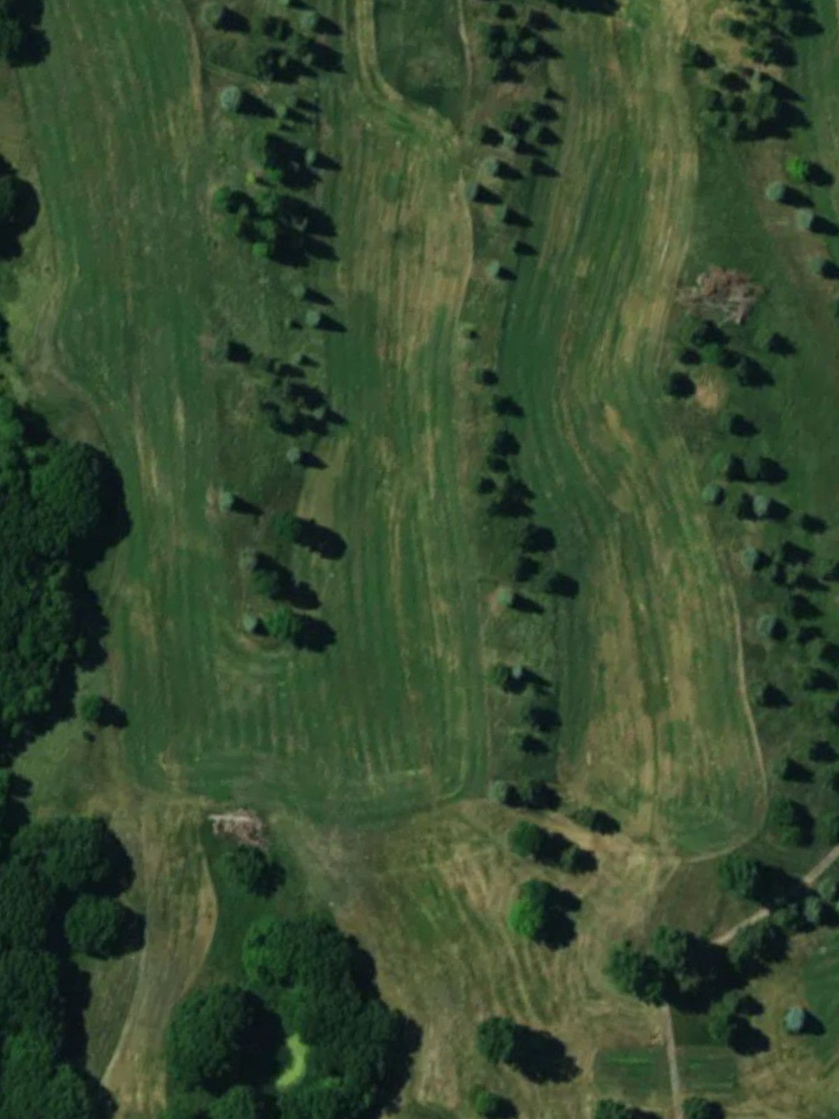 Hole 6 satellite