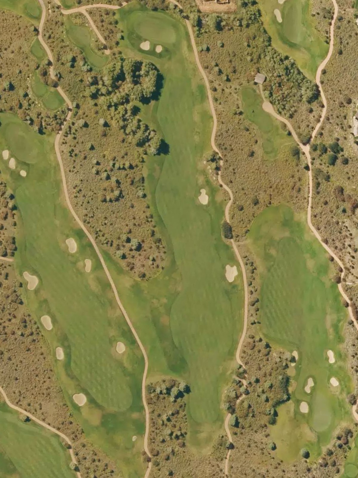 Hole 8 satellite