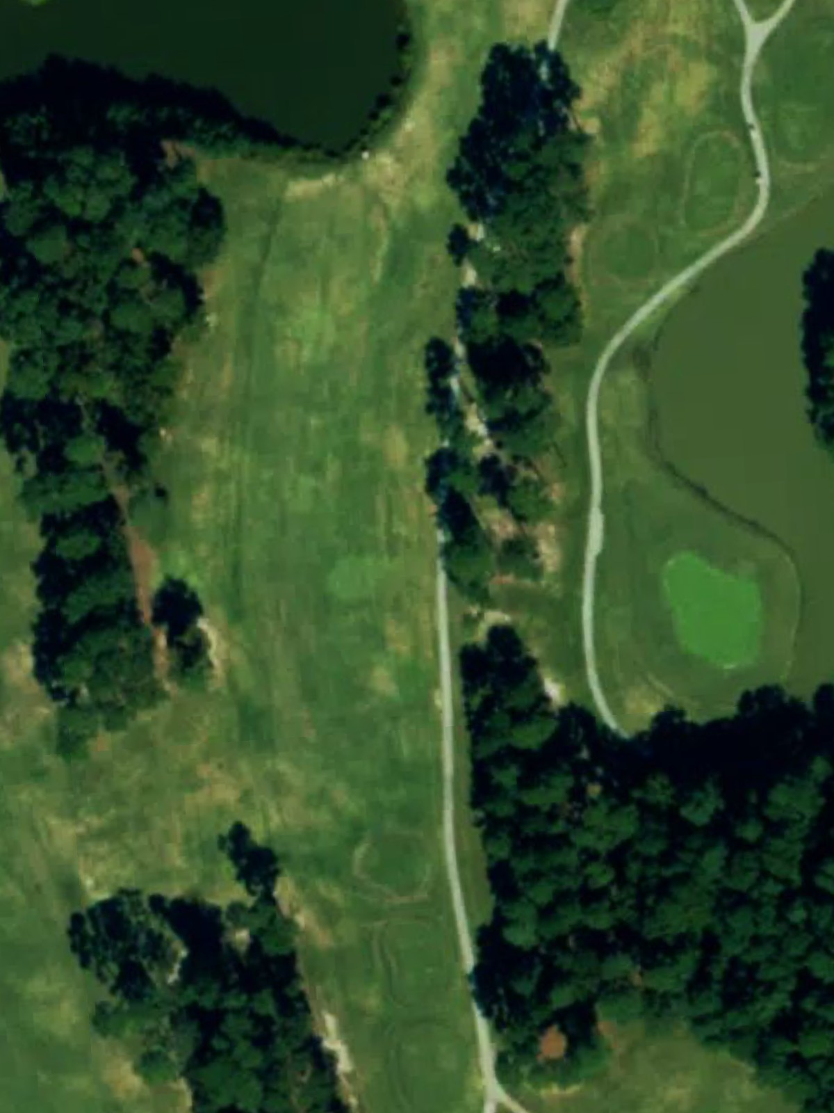 Hole 15 satellite