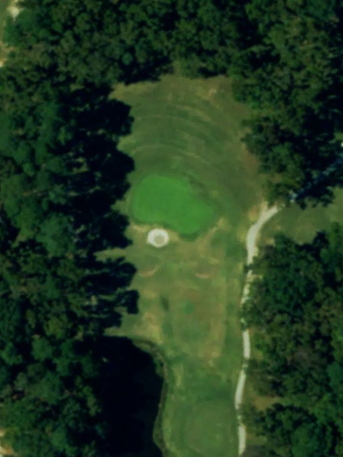 Hole 8 satellite