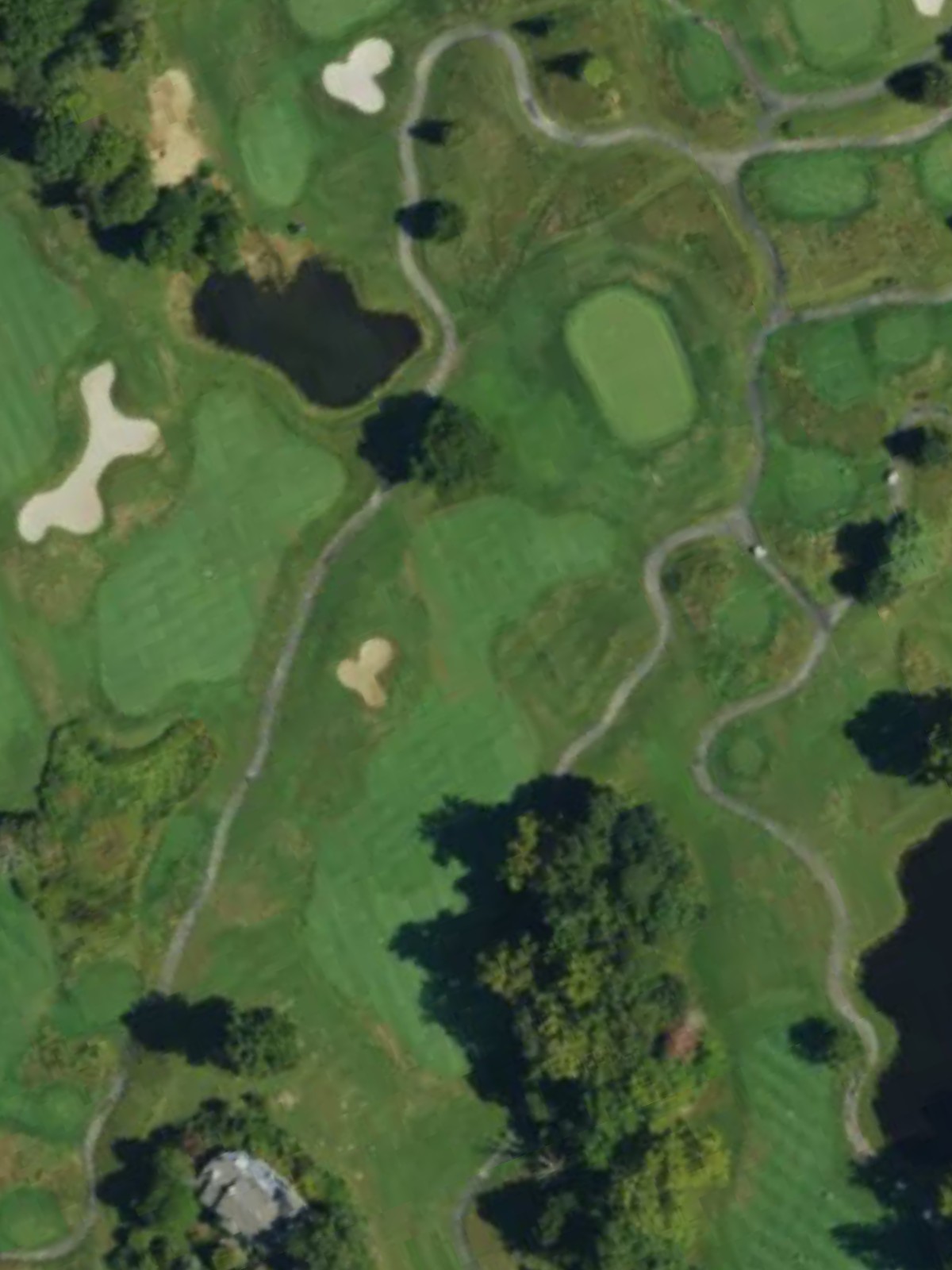 Hole 7 satellite