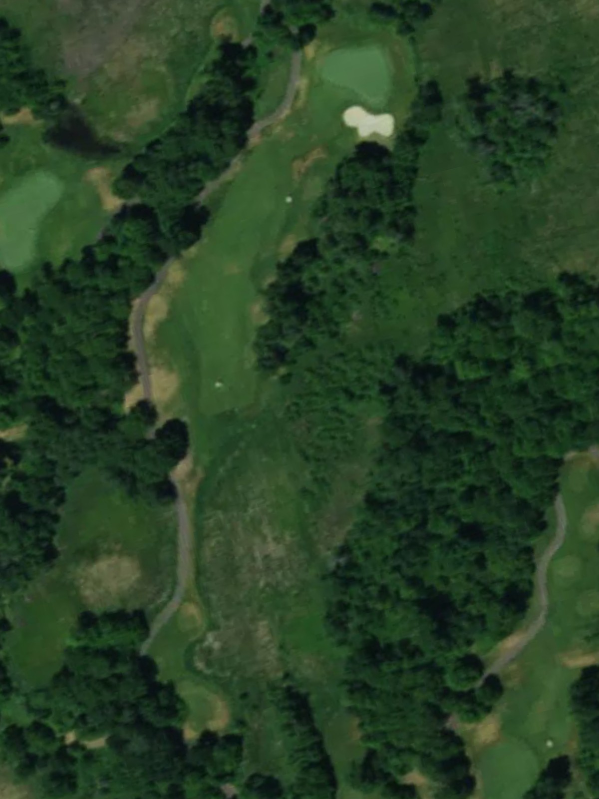 Hole 15 satellite