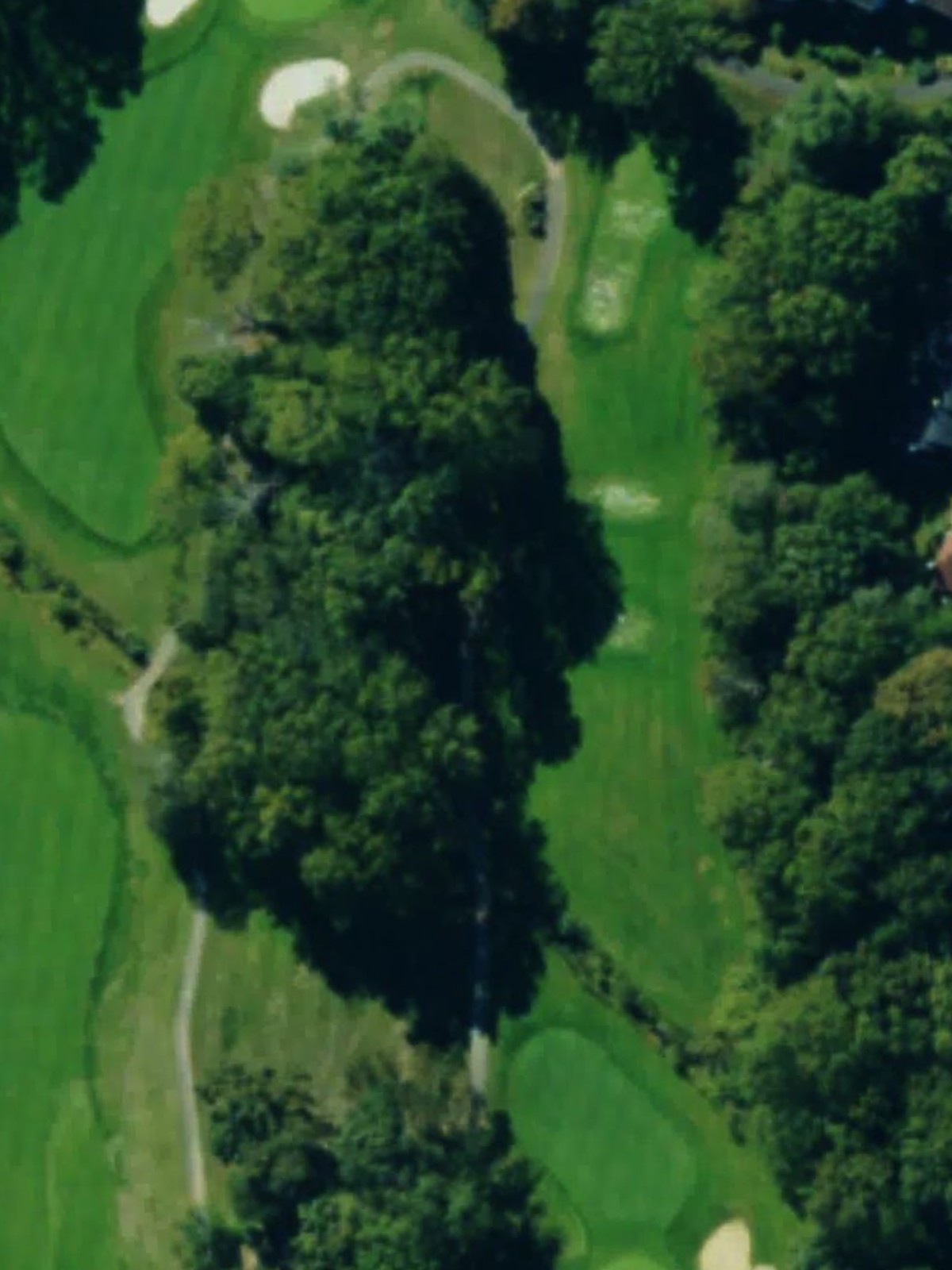 Hole 6 satellite