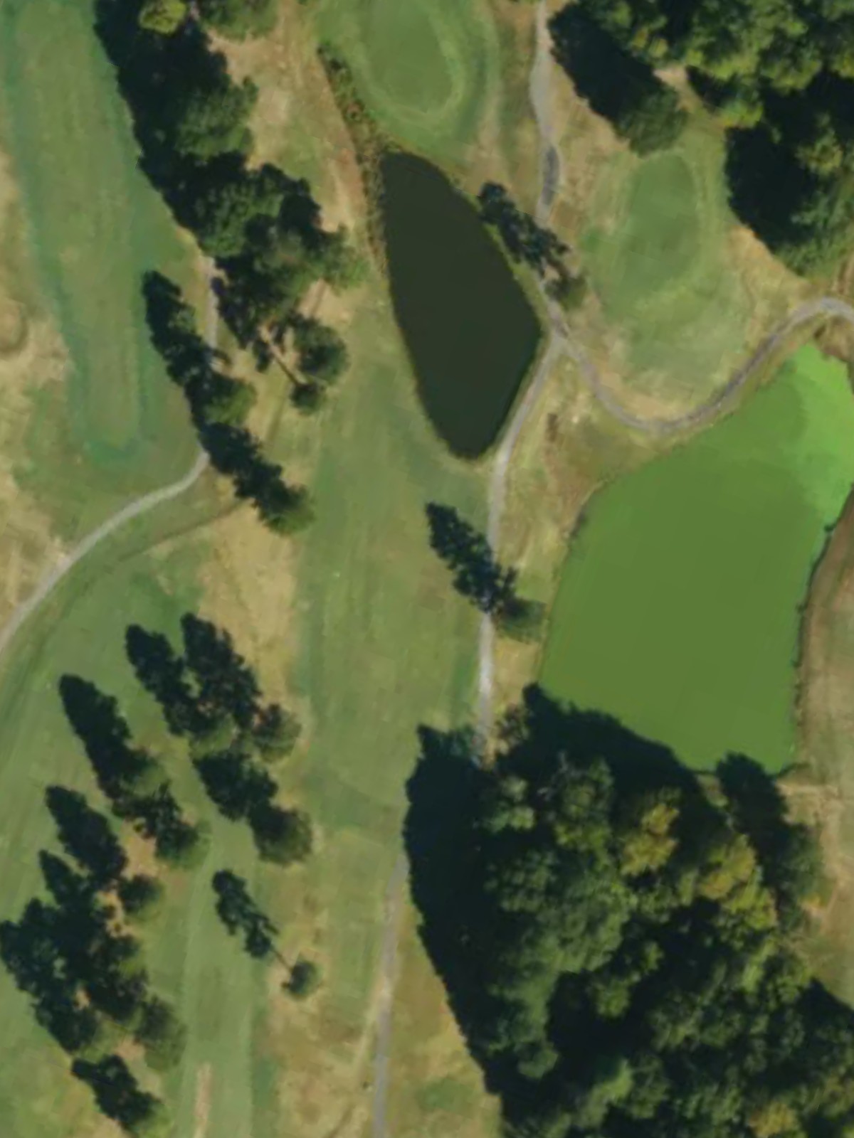 Hole 17 satellite