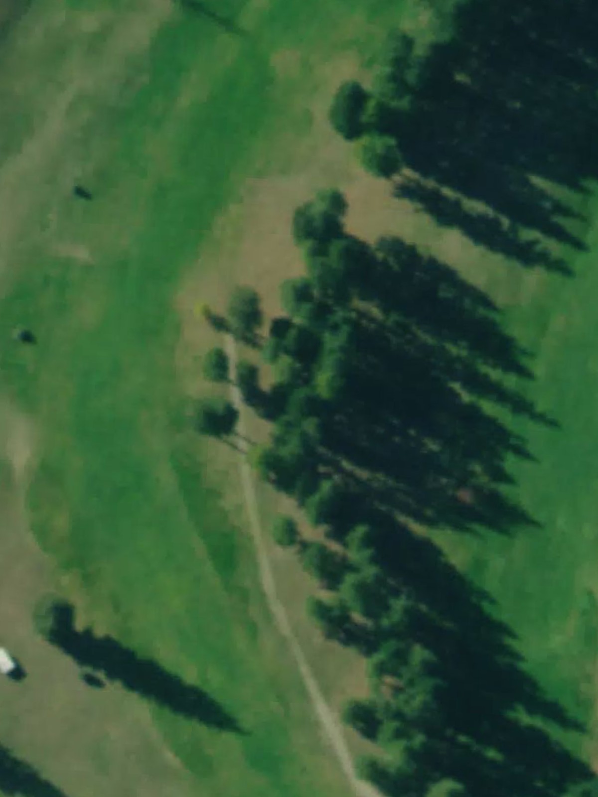 Hole 1 satellite