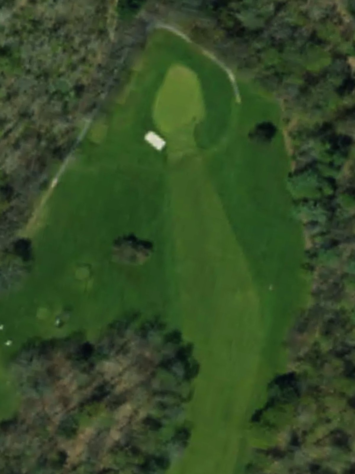Hole 10 satellite