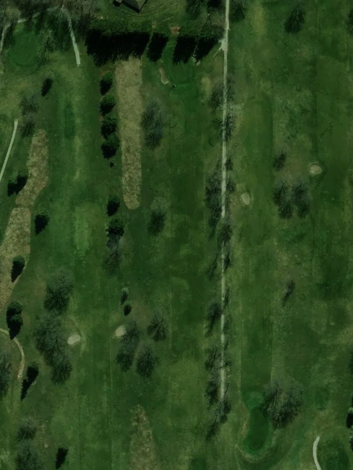 Hole 15 satellite
