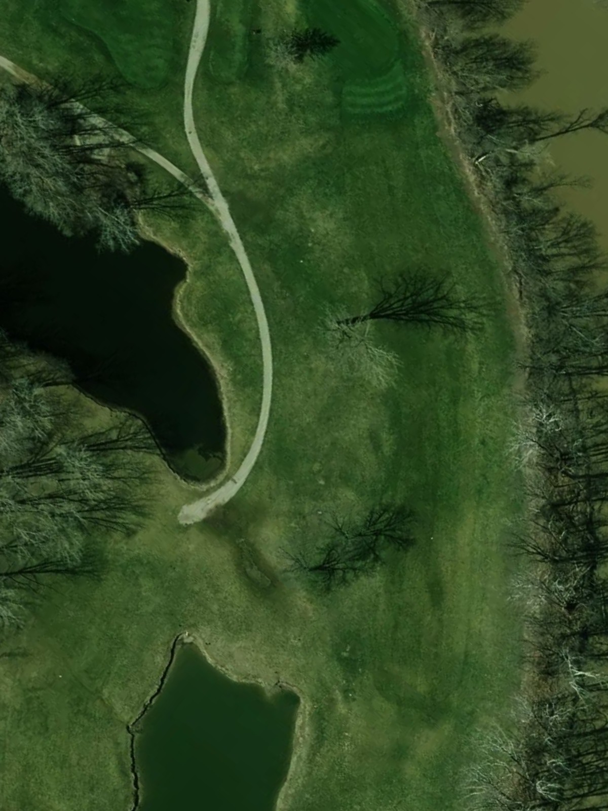 Hole 7 satellite
