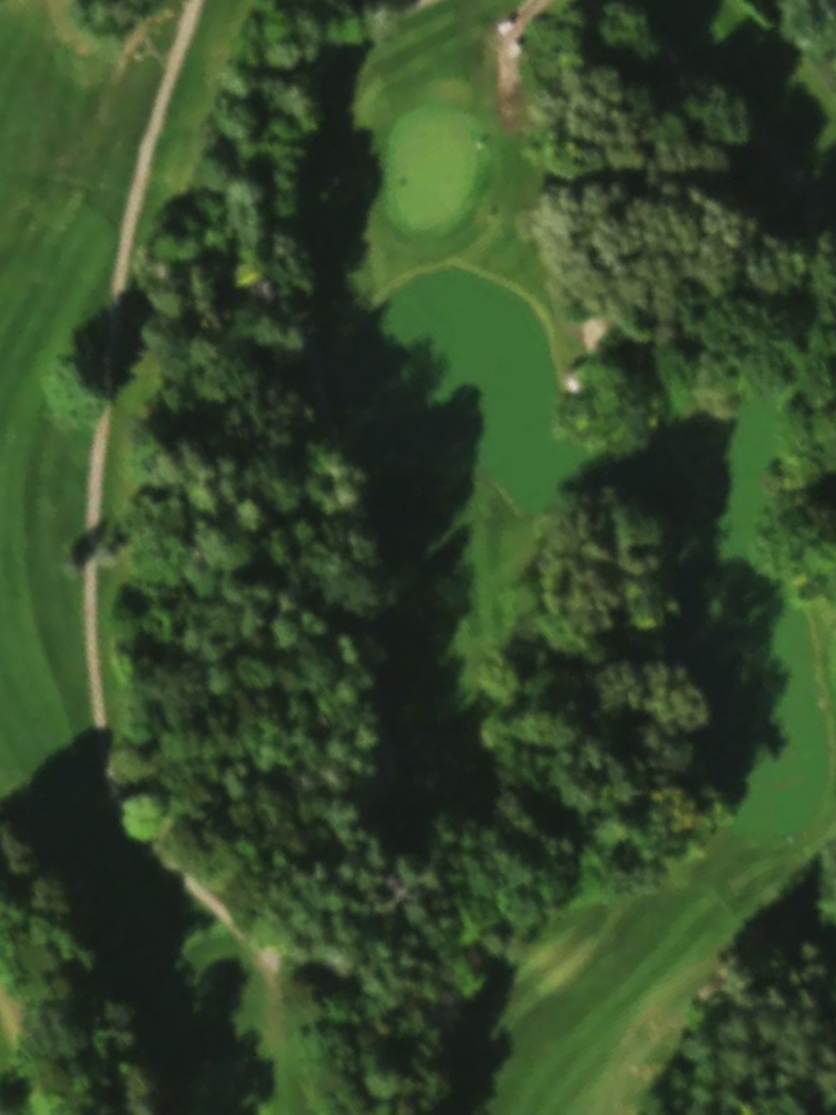 Hole 7 satellite