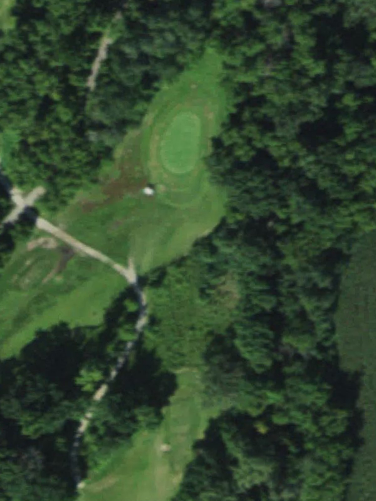 Hole 12 satellite