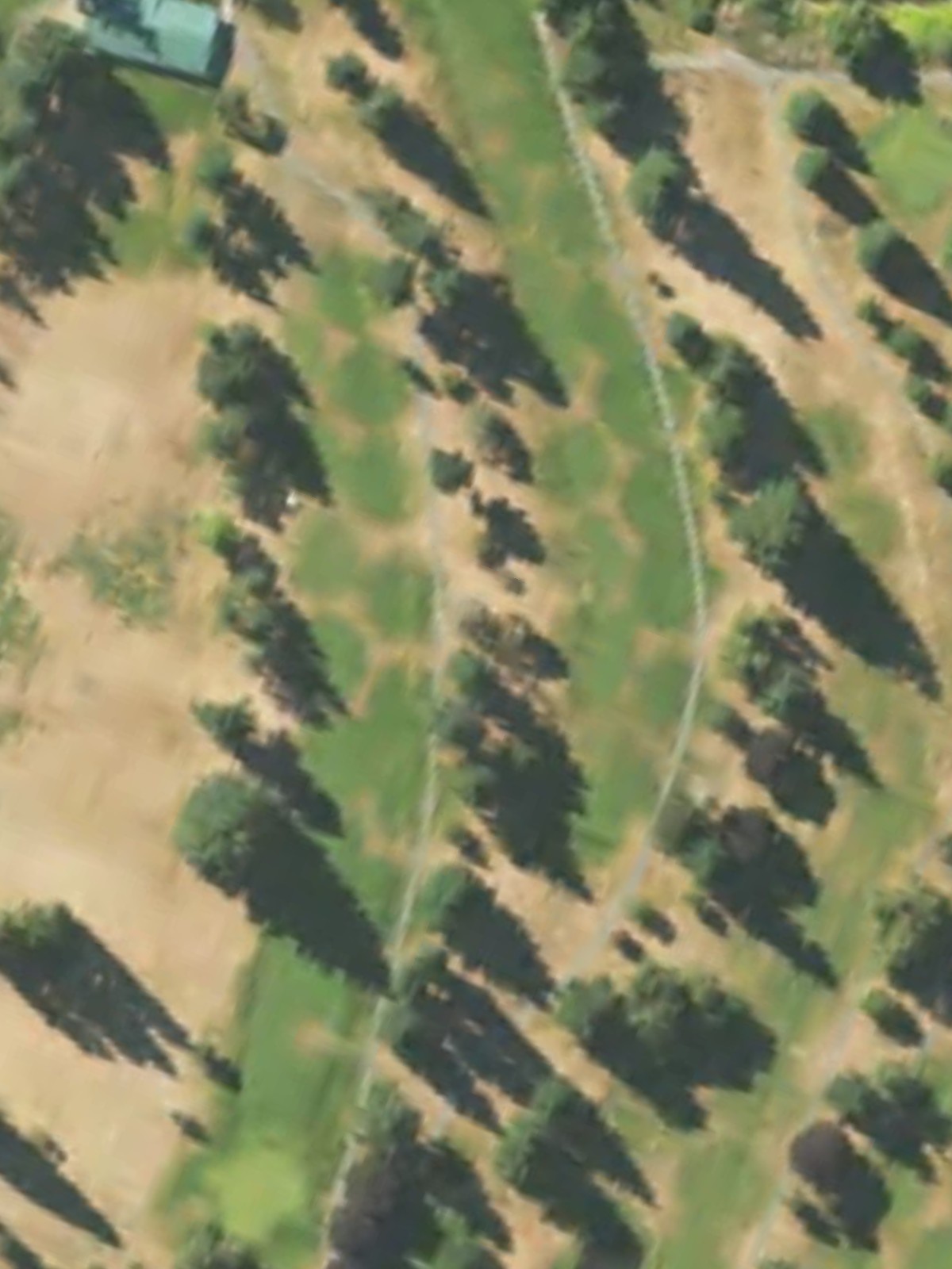 Hole 2 satellite