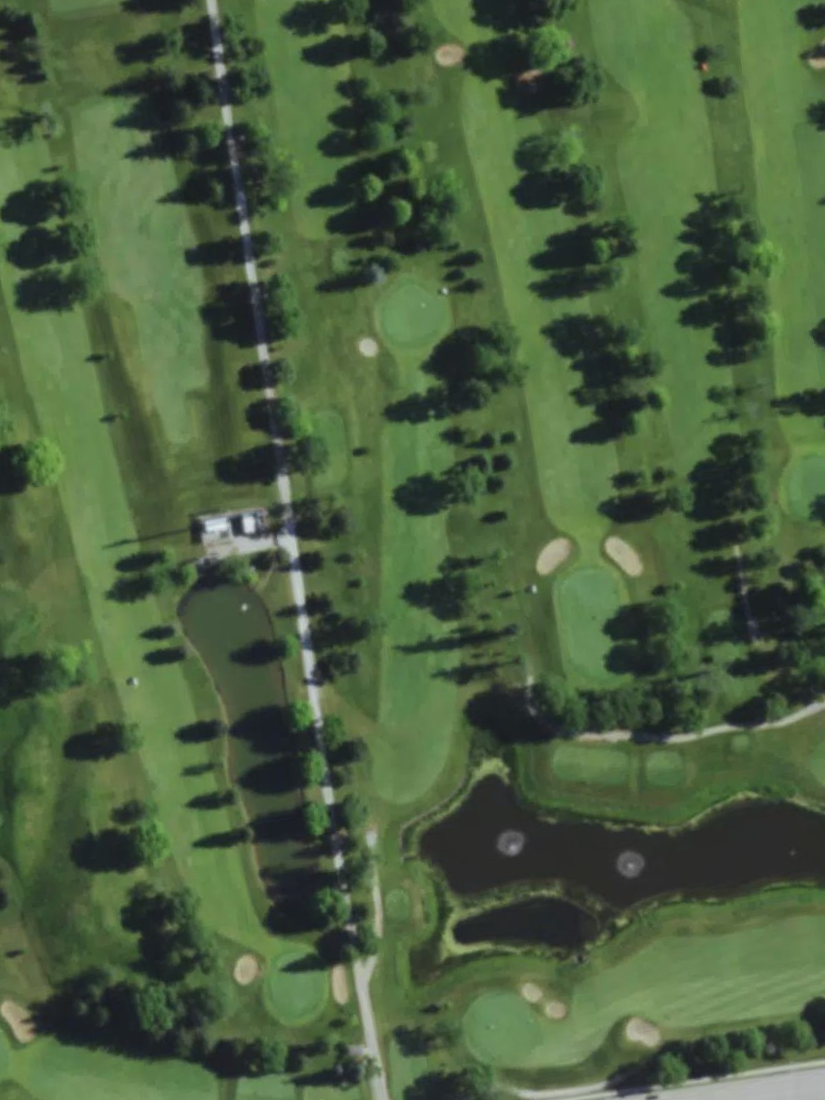 Hole 8 satellite