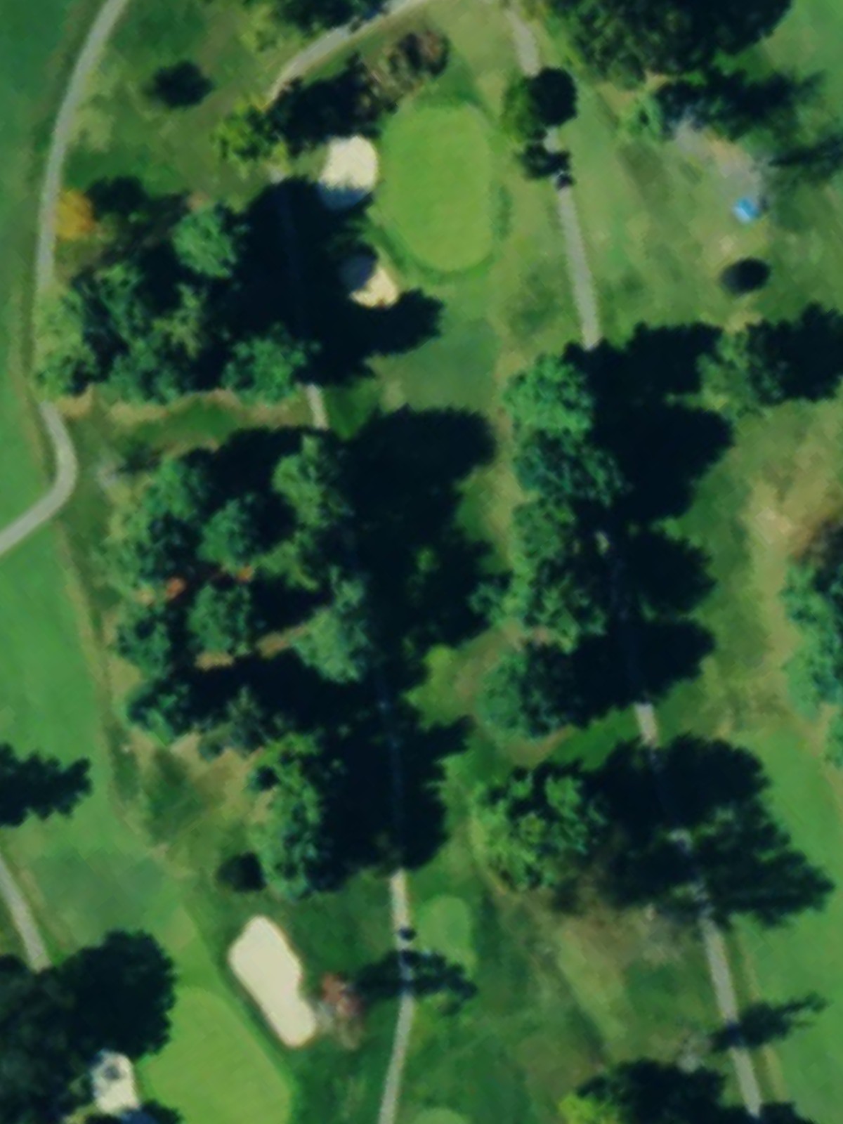 Hole 7 satellite