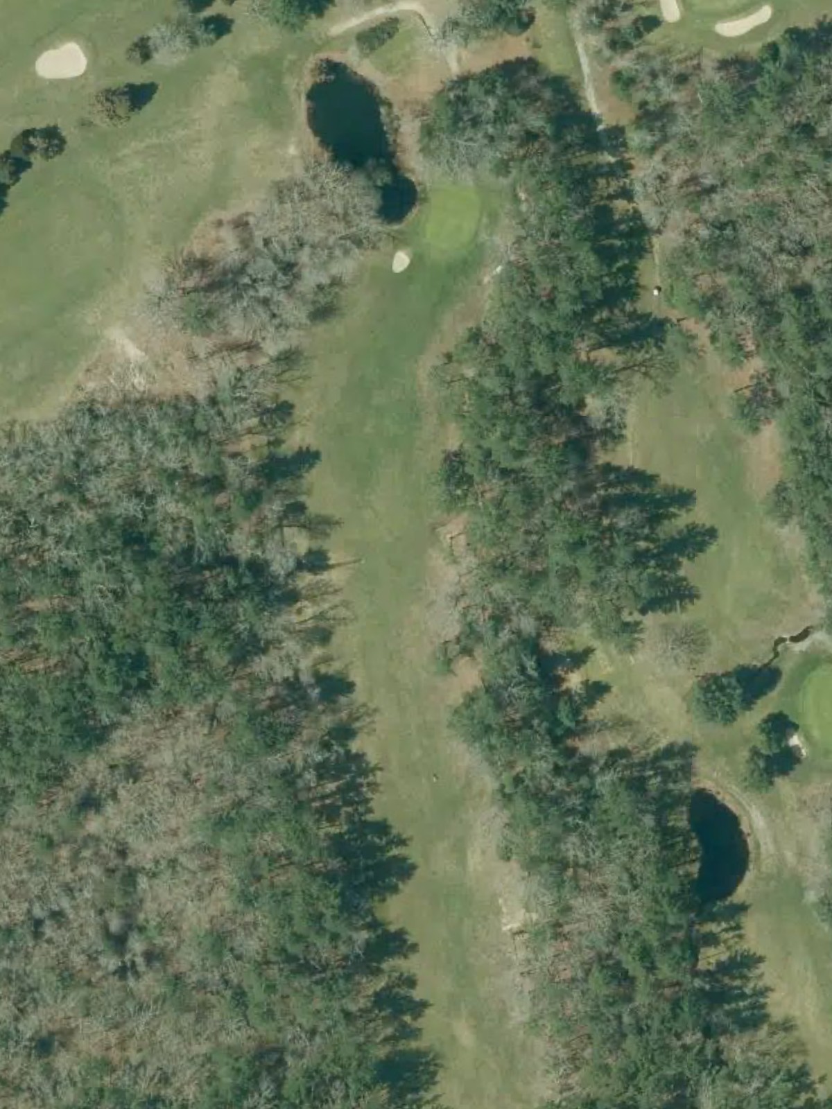 Hole 6 satellite