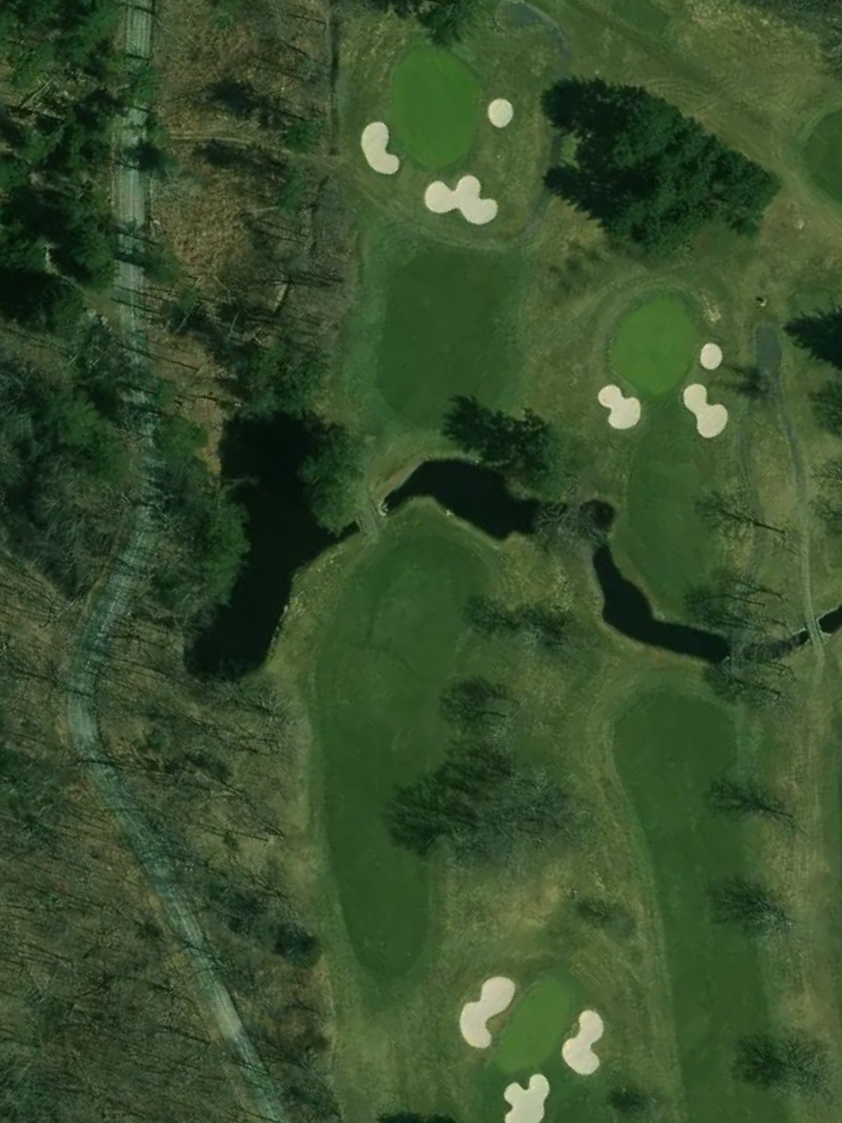 Hole 4 satellite