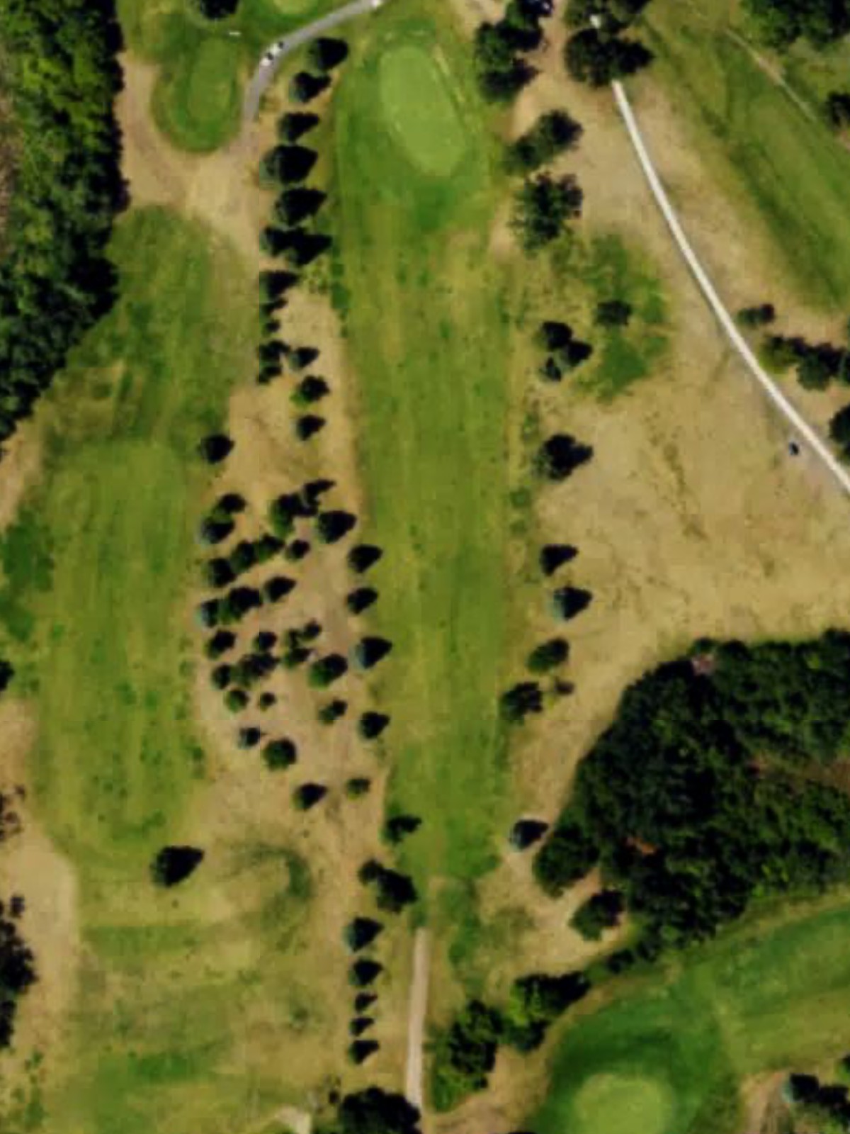 Hole 9 satellite