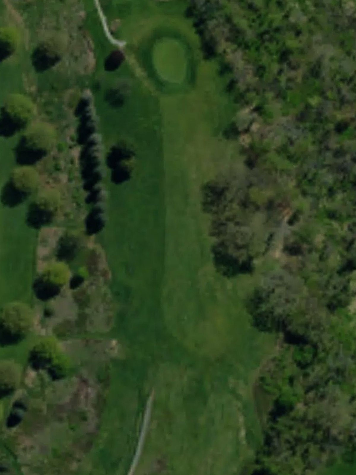 Hole 15 satellite