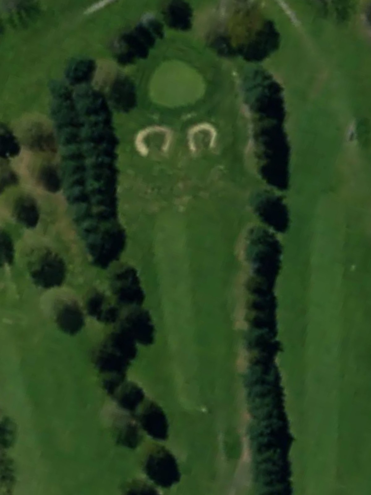 Hole 4 satellite