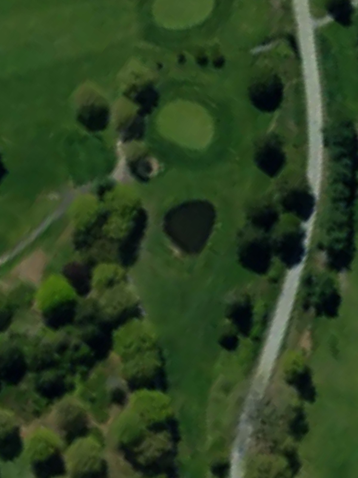 Hole 7 satellite