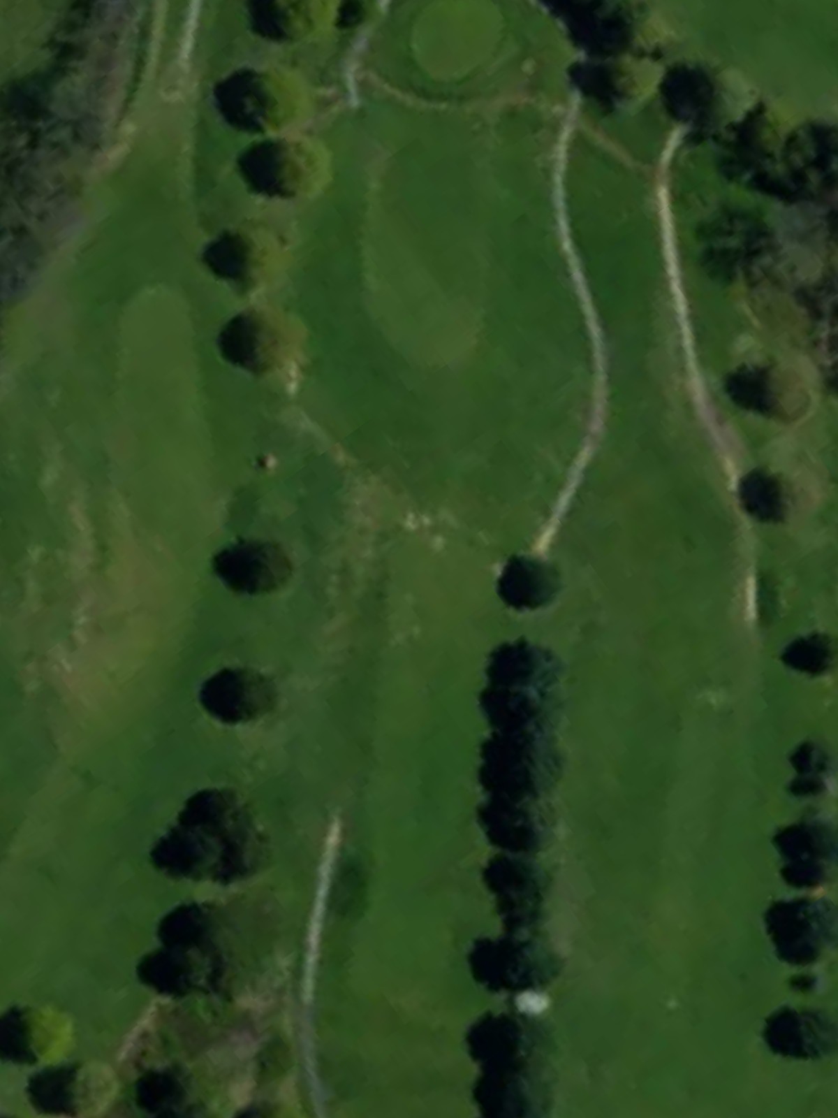Hole 8 satellite