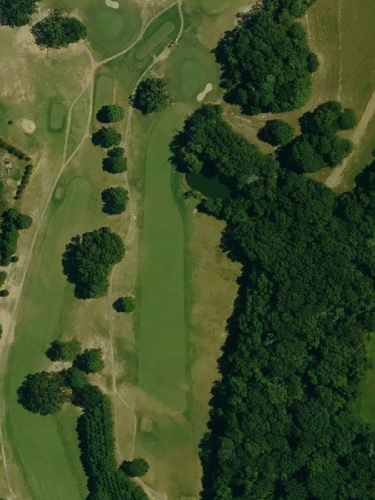 Hole 7 satellite