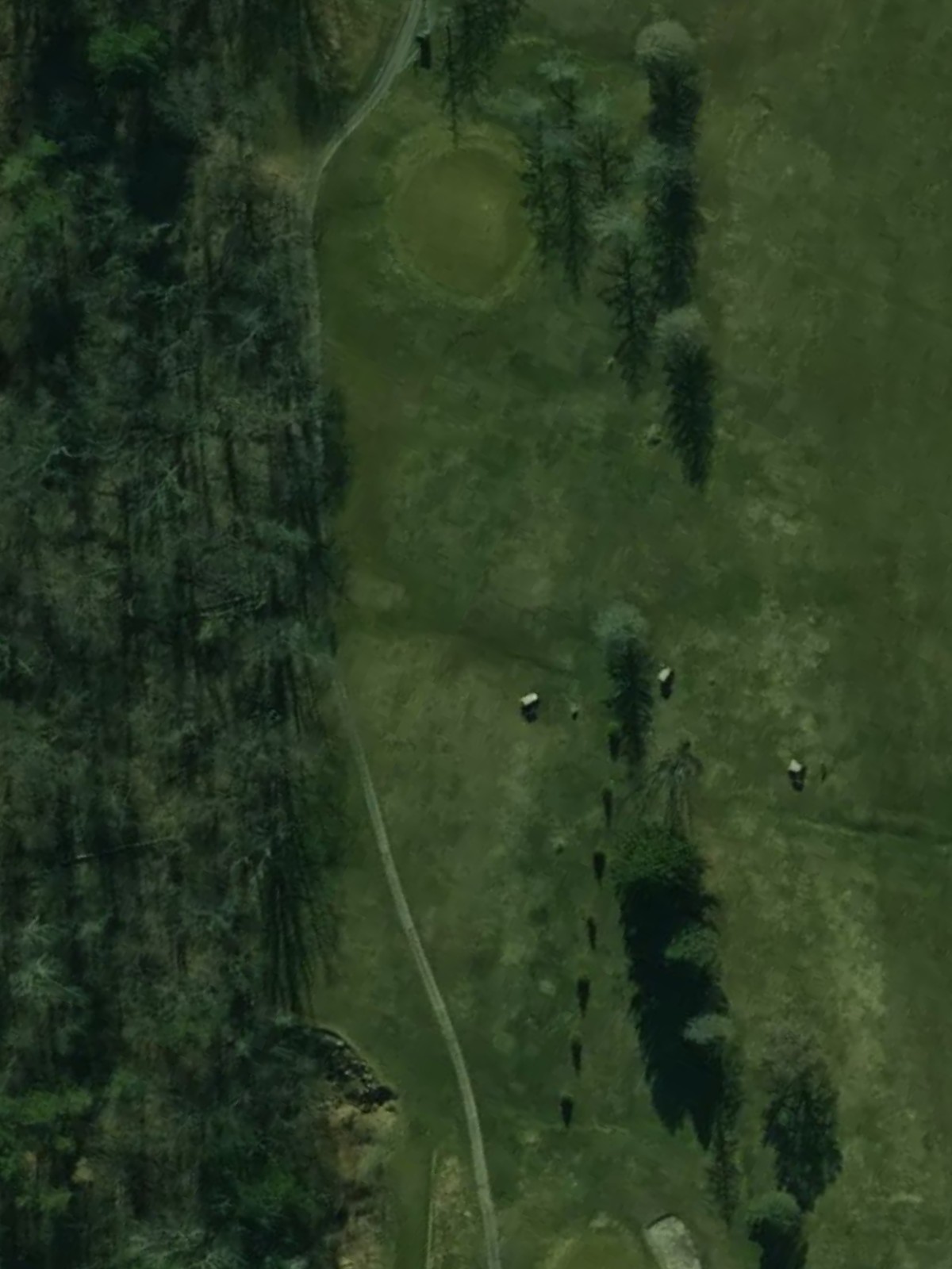 Hole 3 satellite