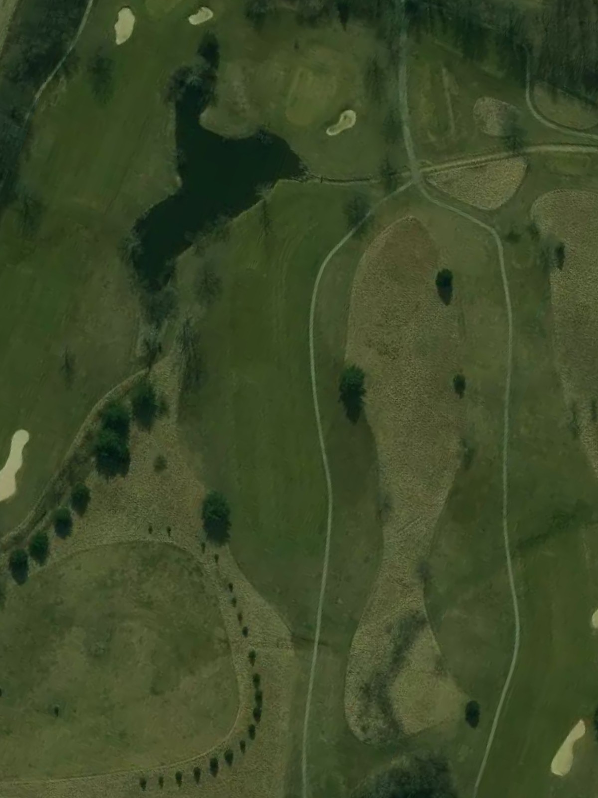Hole 15 satellite