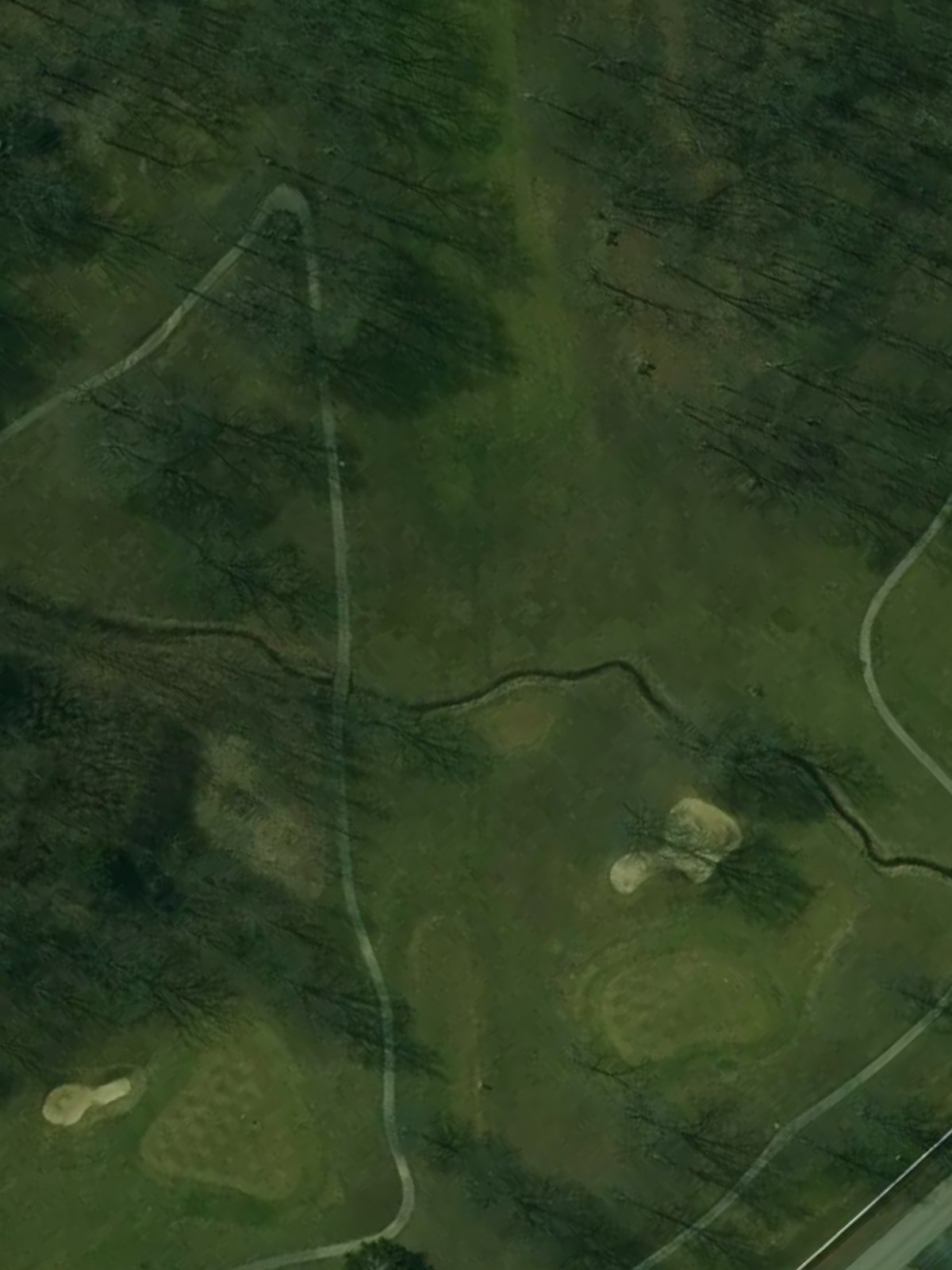 Hole 7 satellite