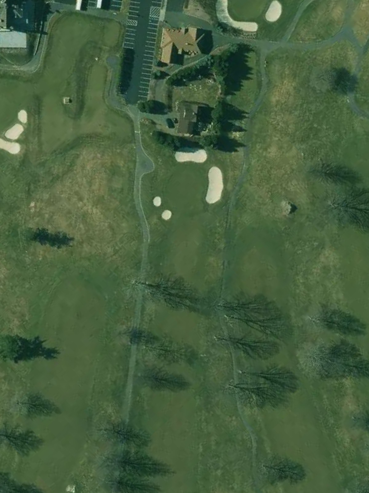 Hole 15 satellite