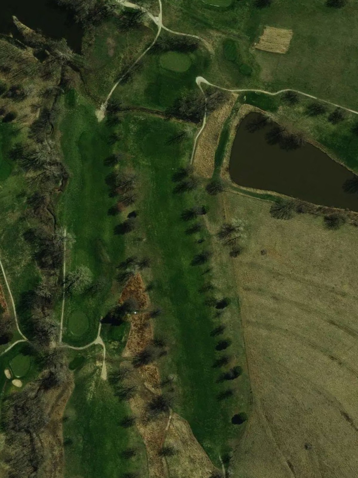 Hole 6 satellite