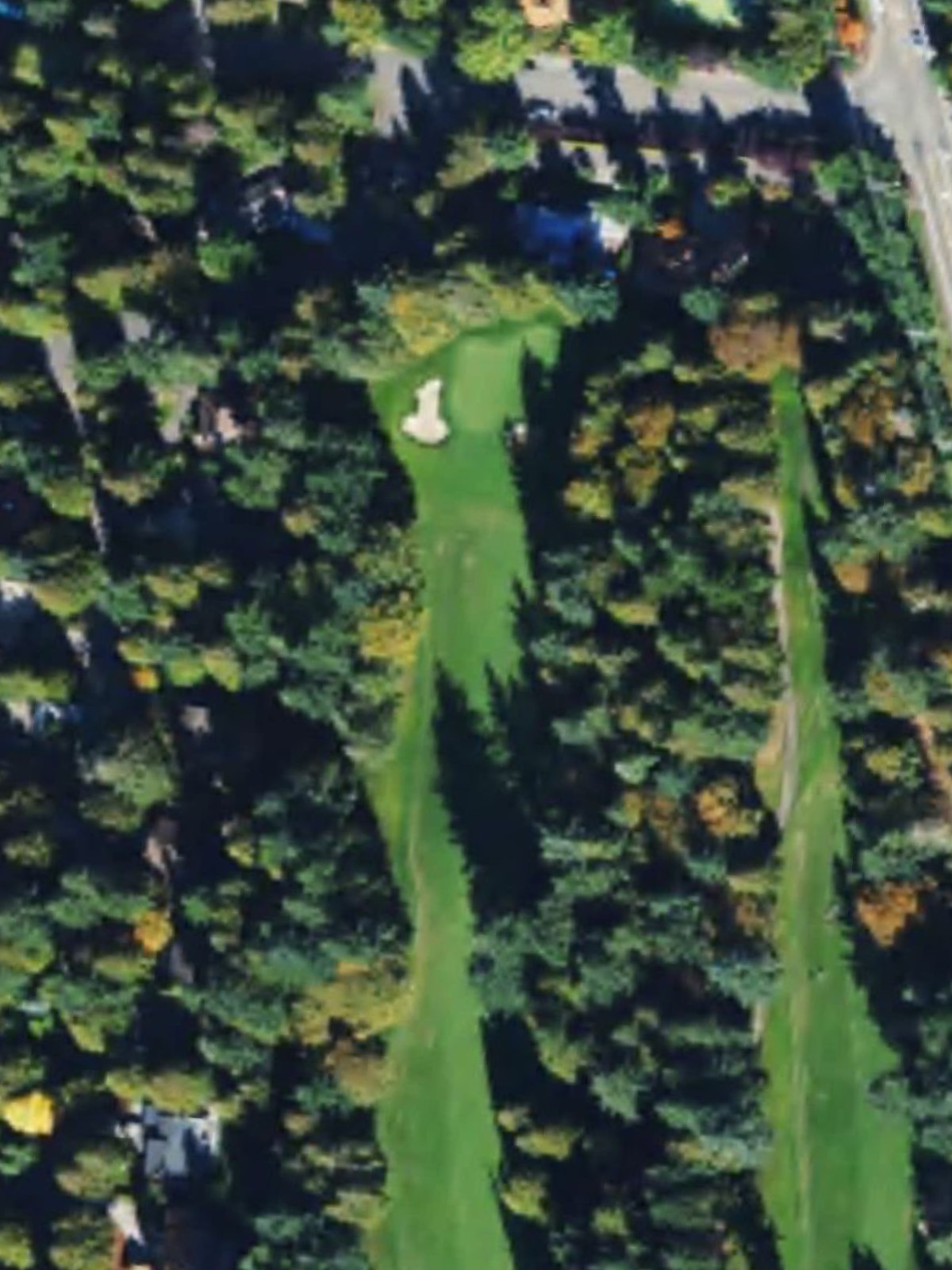 Hole 15 satellite