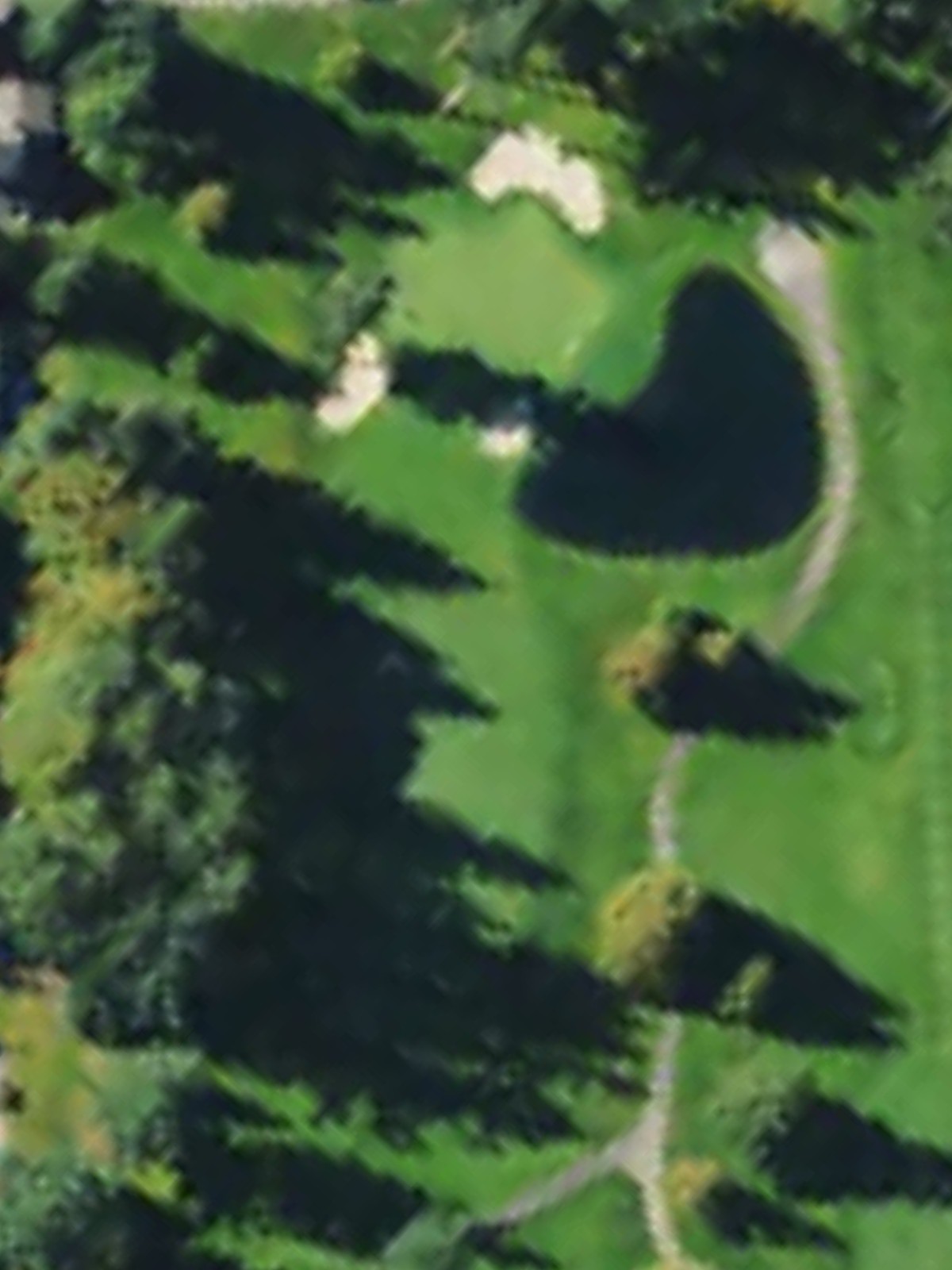 Hole 5 satellite