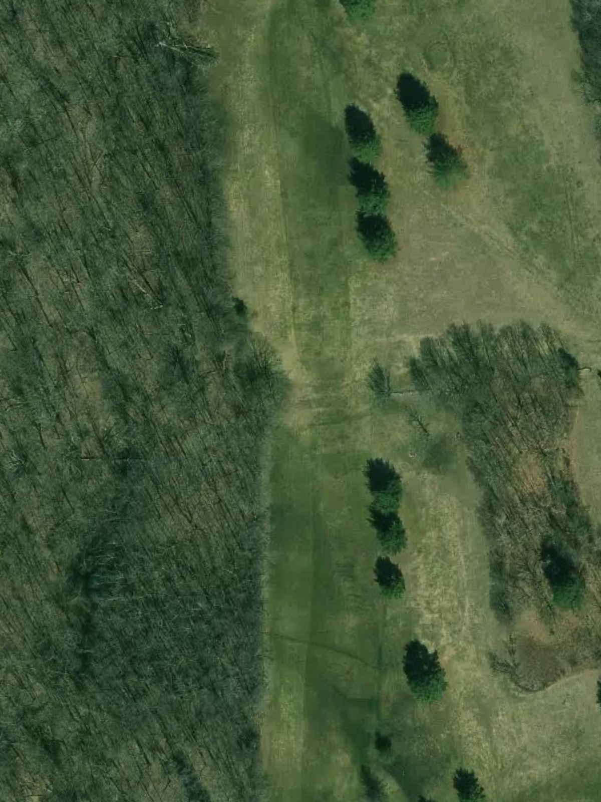 Hole 7 satellite