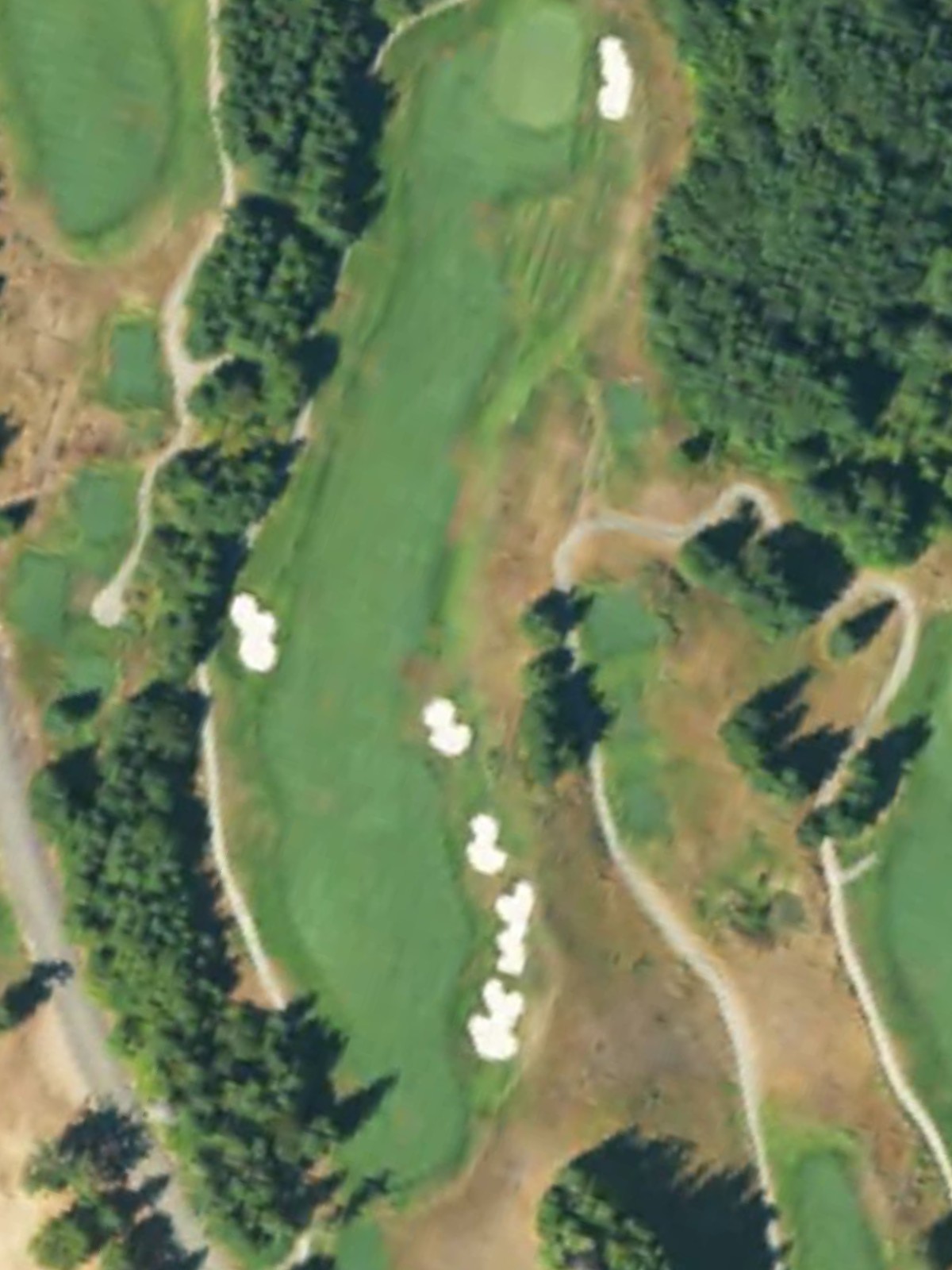 Hole 4 satellite
