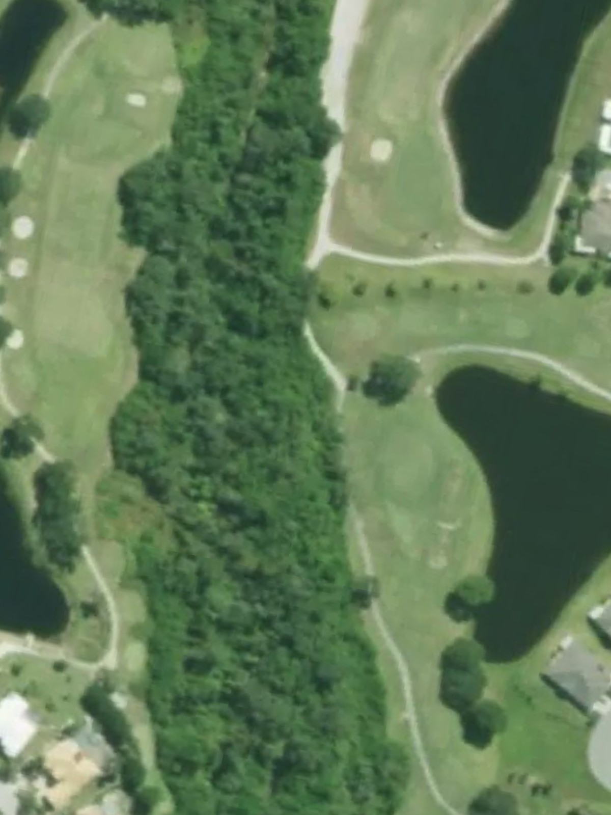 Hole 13 satellite