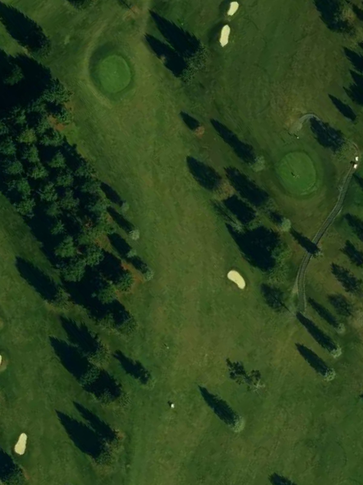 Hole 1 satellite