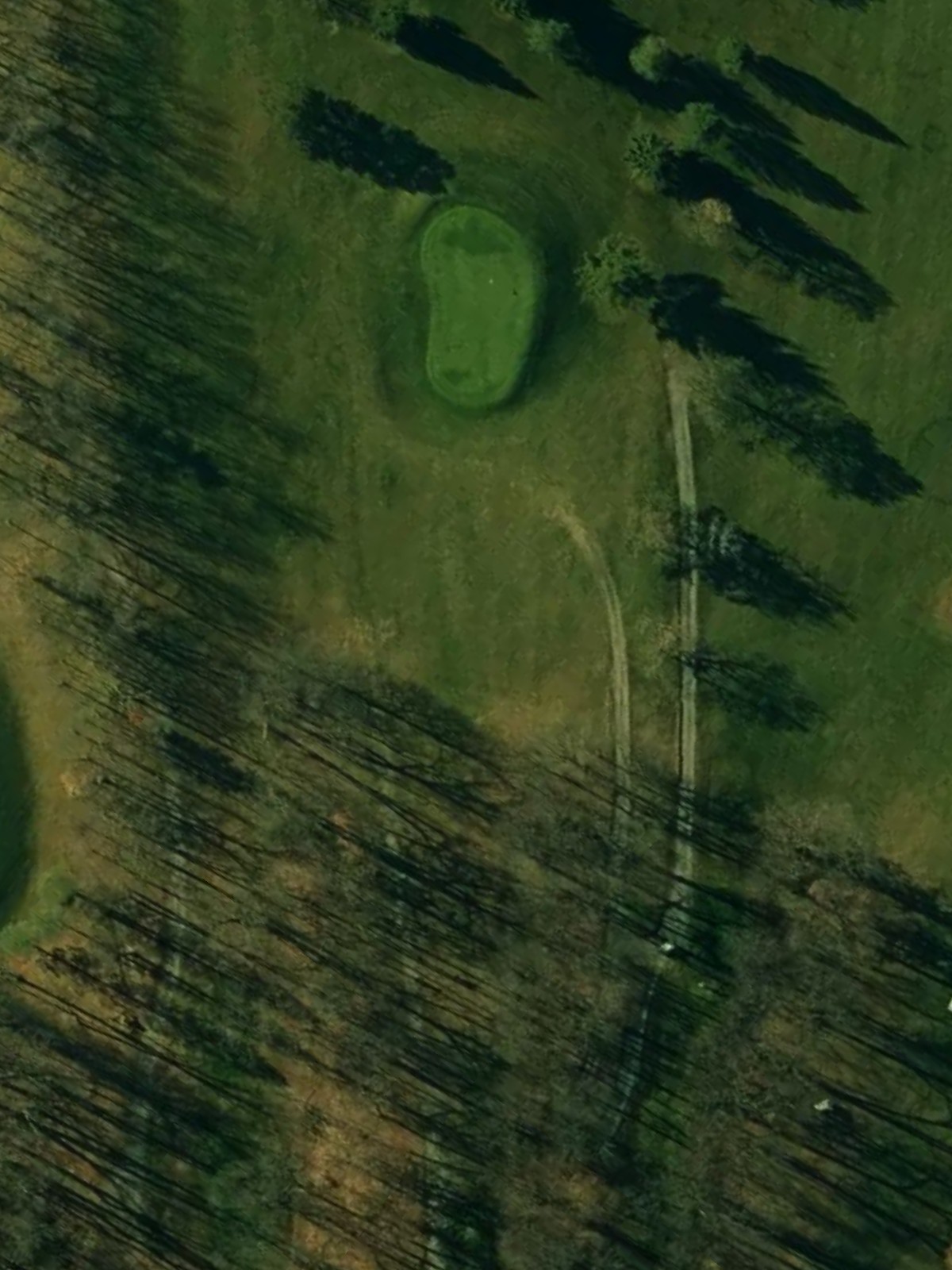 Hole 7 satellite
