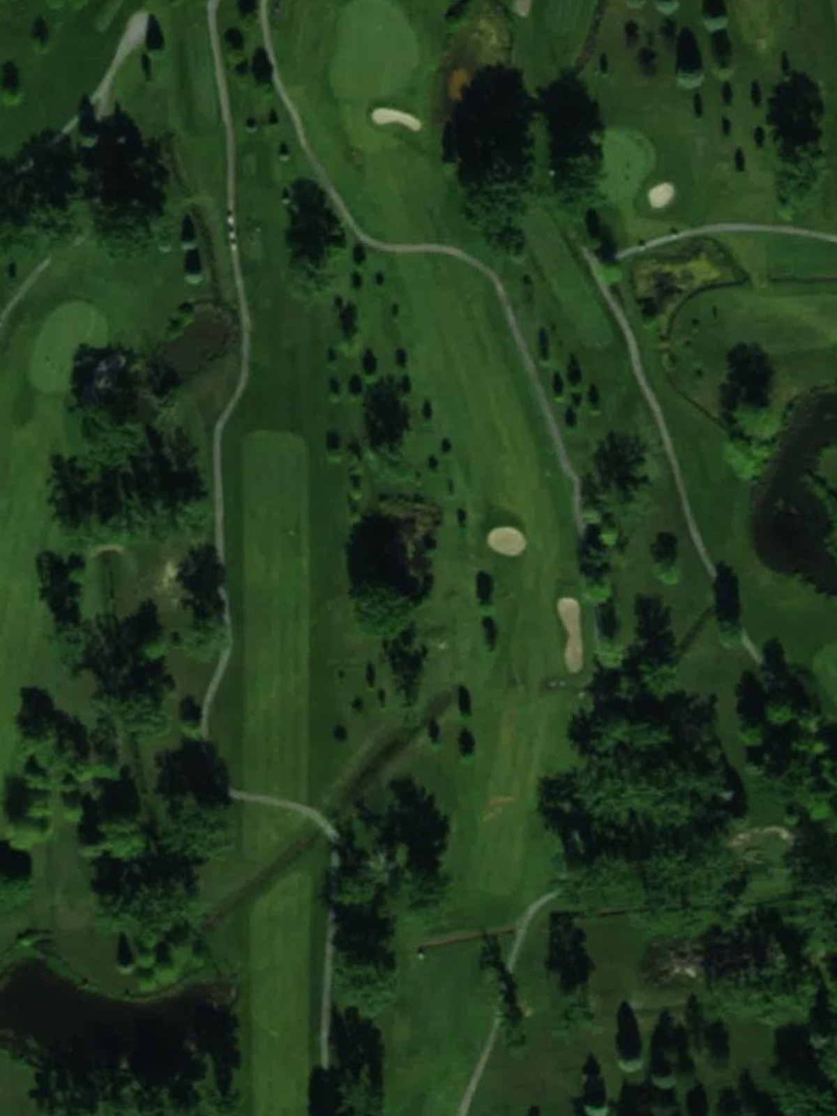 Hole 15 satellite