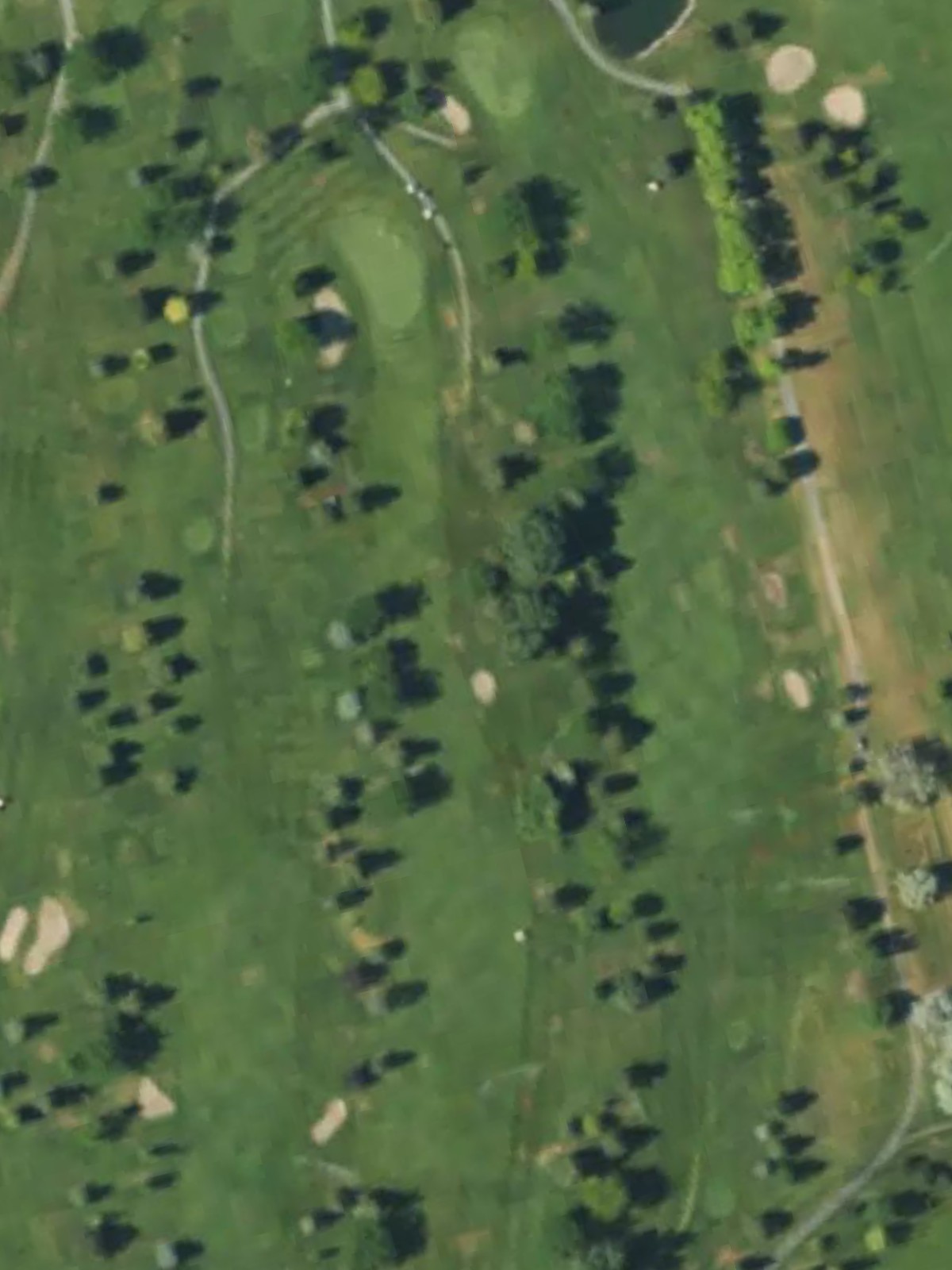Hole 10 satellite
