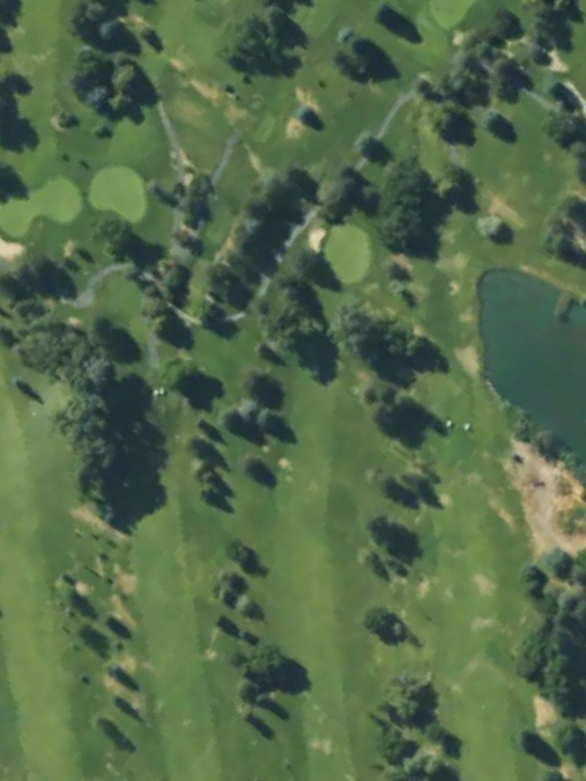 Hole 7 satellite