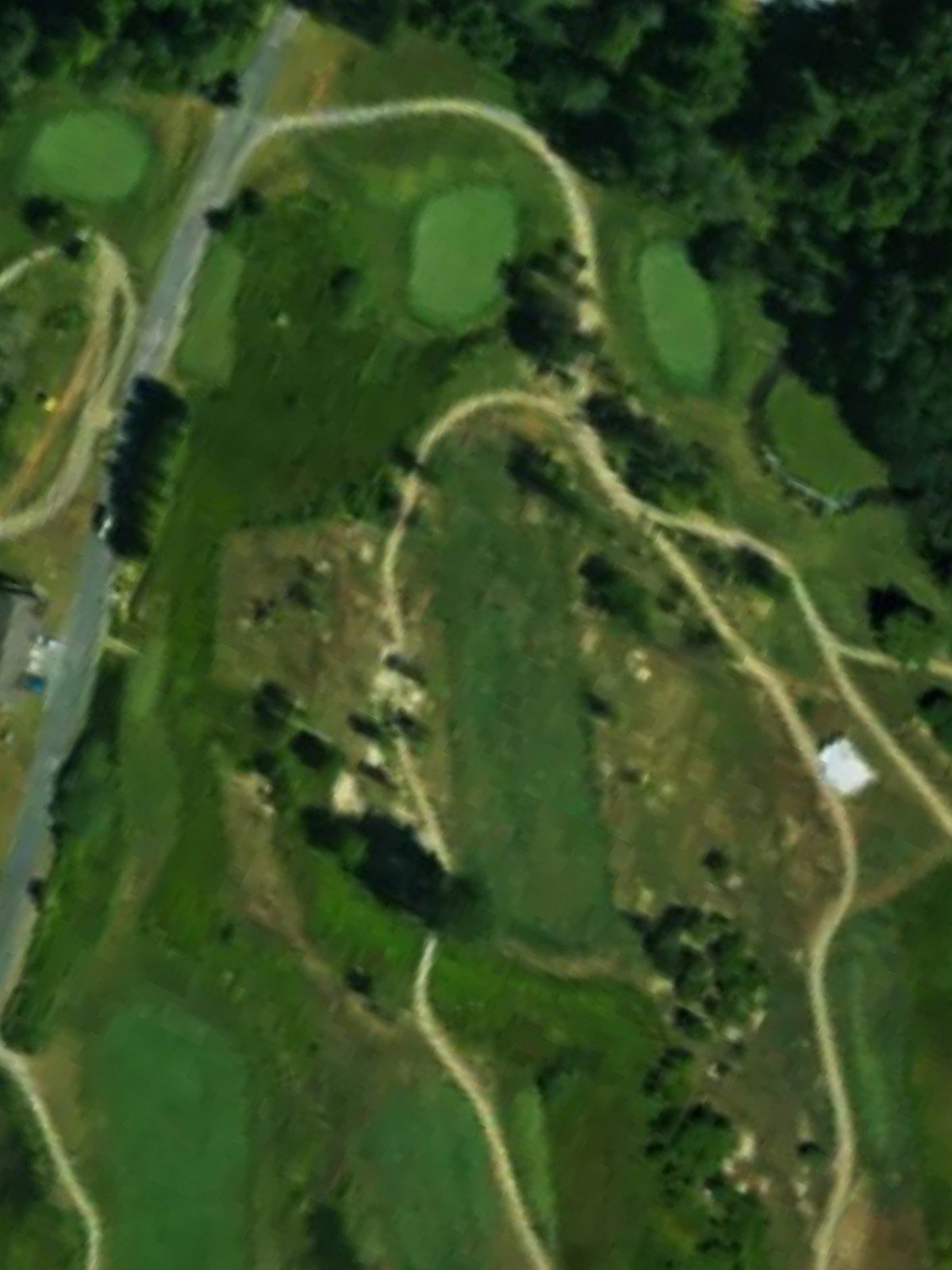 Hole 6 satellite