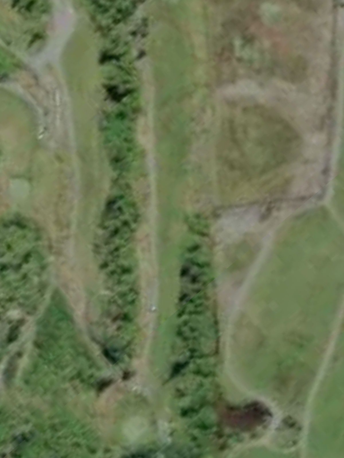 Hole 6 satellite