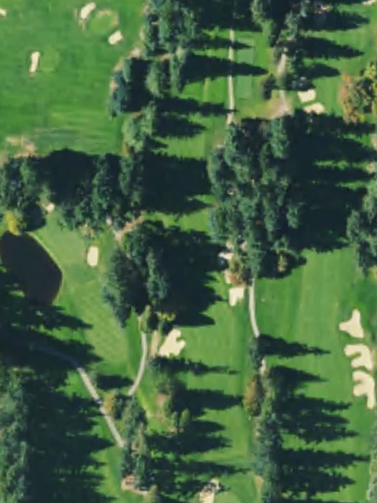 Hole 15 satellite