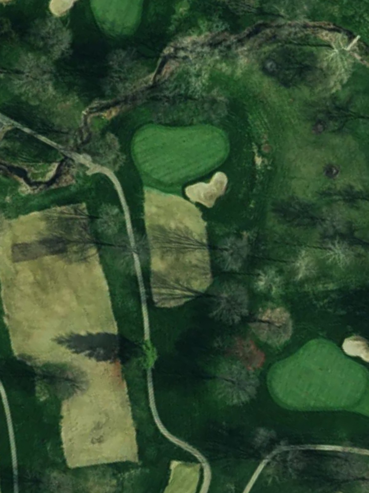 Hole 7 satellite